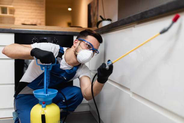Best Pest Control Near Me  in Franklin Center, NJ