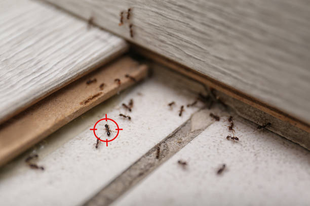 Franklin Center, NJ Pest Control Company