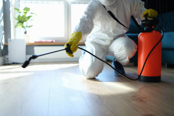 Best Wasp Removal Services  in Franklin Center, NJ