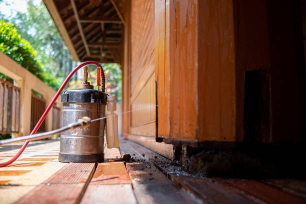 Best Best Pest Control Companies  in Franklin Center, NJ