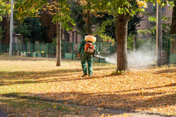 Best Best Pest Control Companies  in Franklin Center, NJ