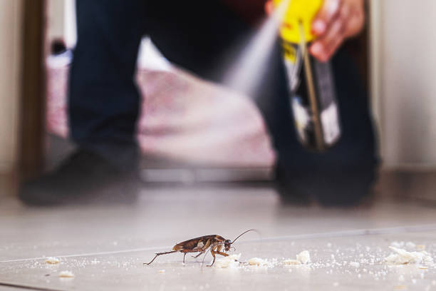 Best Local Pest Control Services  in Franklin Center, NJ