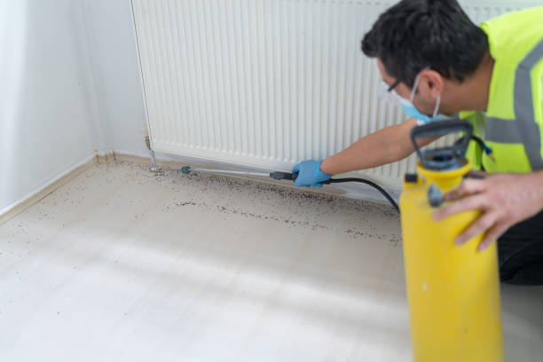Best Pest Prevention Services  in Franklin Center, NJ