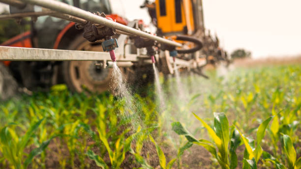 Best Commercial Pest Control Services  in Franklin Center, NJ